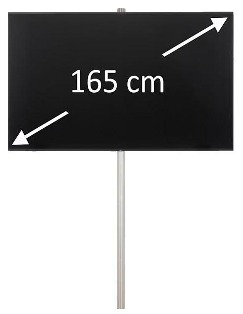 65" Flatscreen op vloerstatief