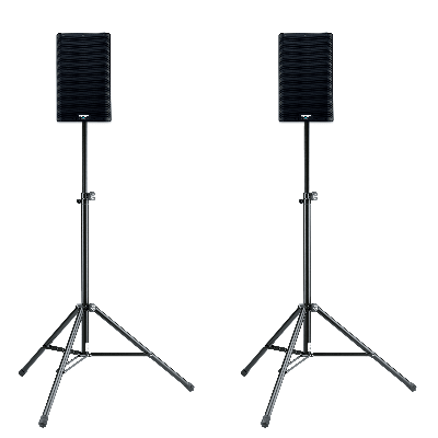 [RENT DISCO2S] Disco 2S (2 x 8" top)