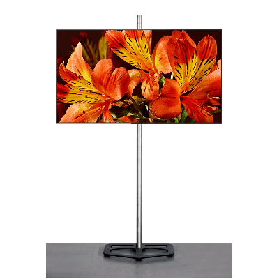 [RENT LCDKIT65] 65" Flatscreen op stand
